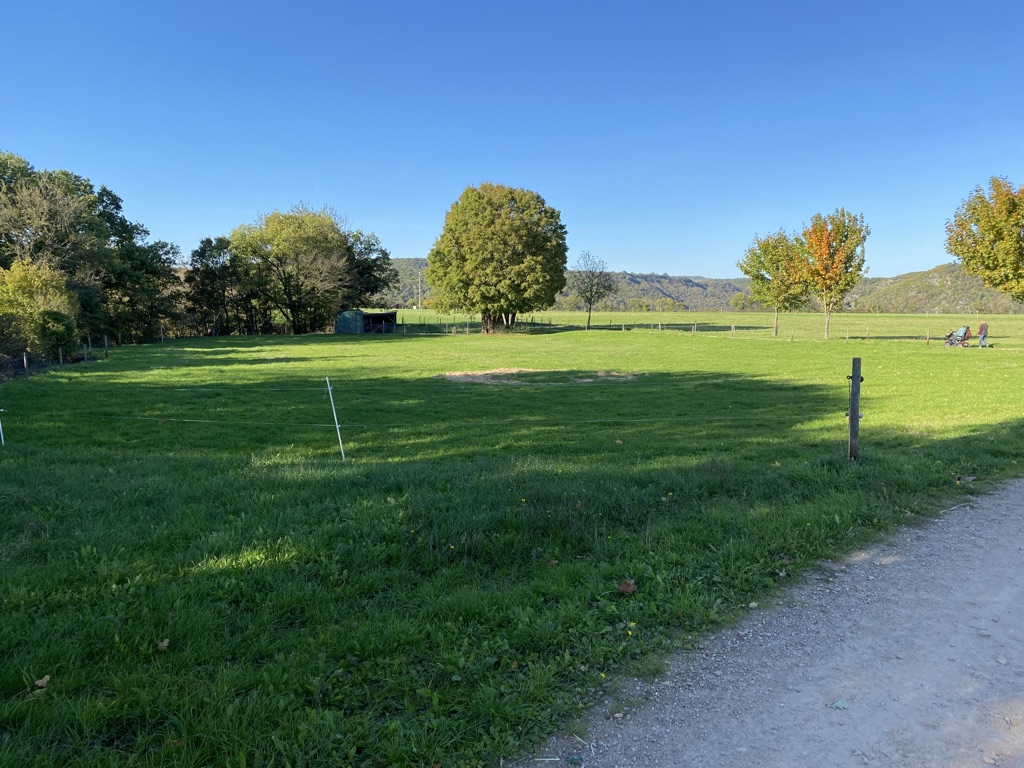 Regenrückhaltebecken Werlau